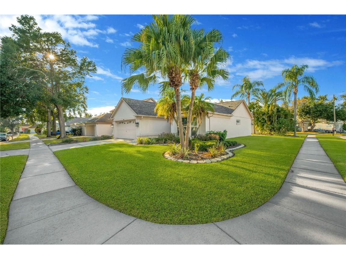 1610 Elk Spring Drive Brandon FL 33511 TB8450149 image25