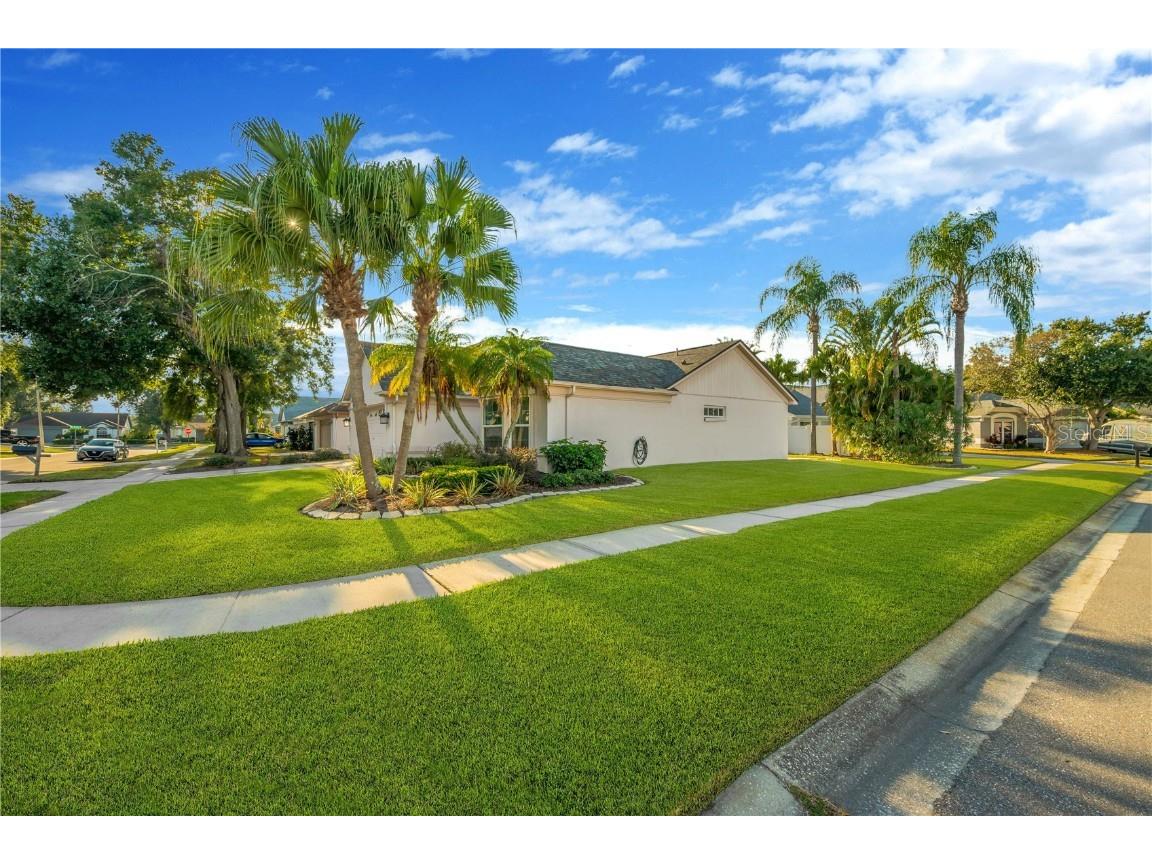 1610 Elk Spring Drive Brandon FL 33511 TB8450149 image26