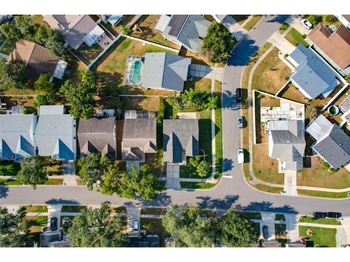 1610 Elk Spring Drive Brandon FL 33511 TB8450149 image40