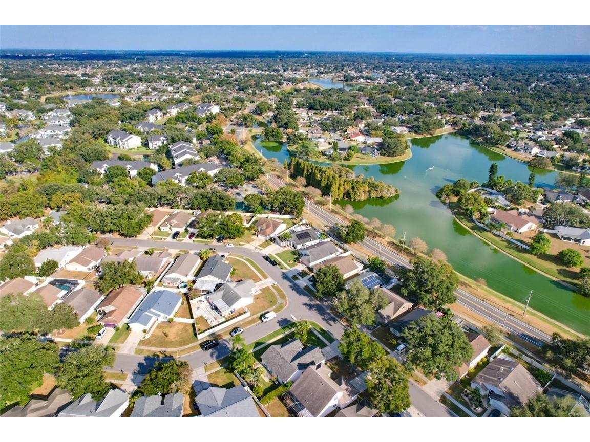 1610 Elk Spring Drive Brandon FL 33511 TB8450149 image41