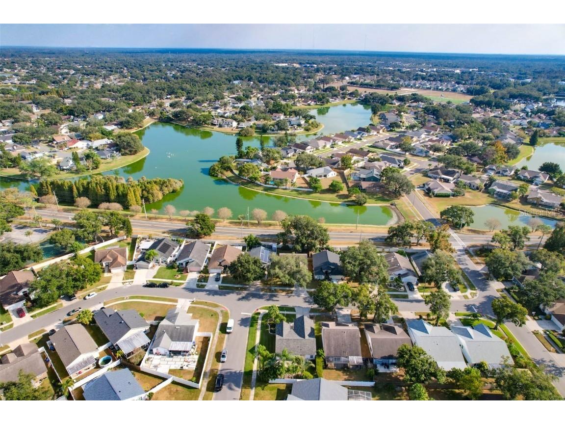 1610 Elk Spring Drive Brandon FL 33511 TB8450149 image42