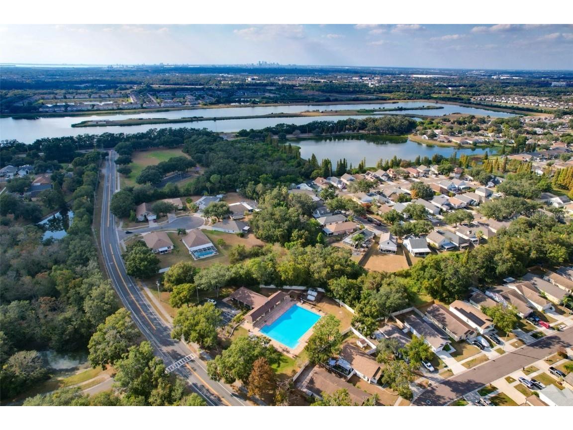 1610 Elk Spring Drive Brandon FL 33511 TB8450149 image44