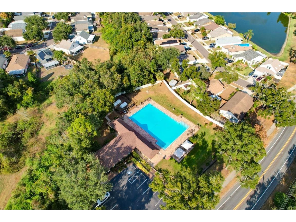 1610 Elk Spring Drive Brandon FL 33511 TB8450149 image46