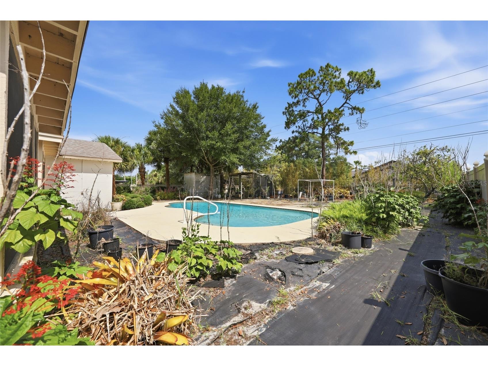 1610 Gladiolas Drive Winter Park FL 32792 O6420292 image36