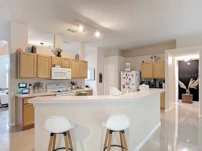 1610 Hanover Avenue Deltona FL 32725 O6344393 image8