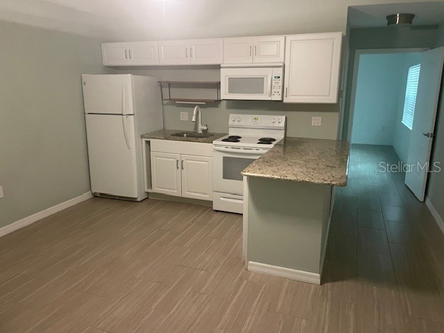 1610 Haven Drive #REAR Orlando FL 32803 NS1087657 image2