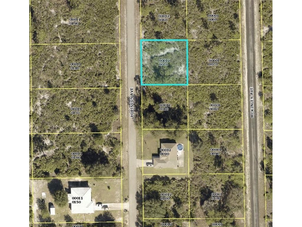 1610 Hibiscus Avenue Lehigh Acres FL 33972 S5061651 image1