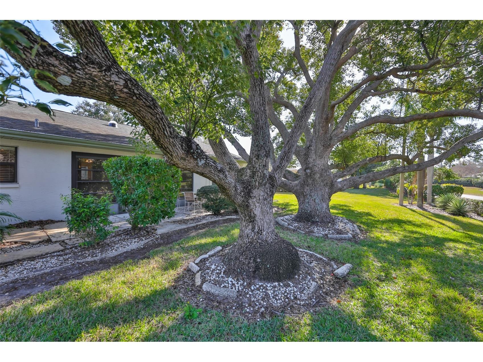 1610 Leland Drive Sun City Center FL 33573 TB8462758 image33