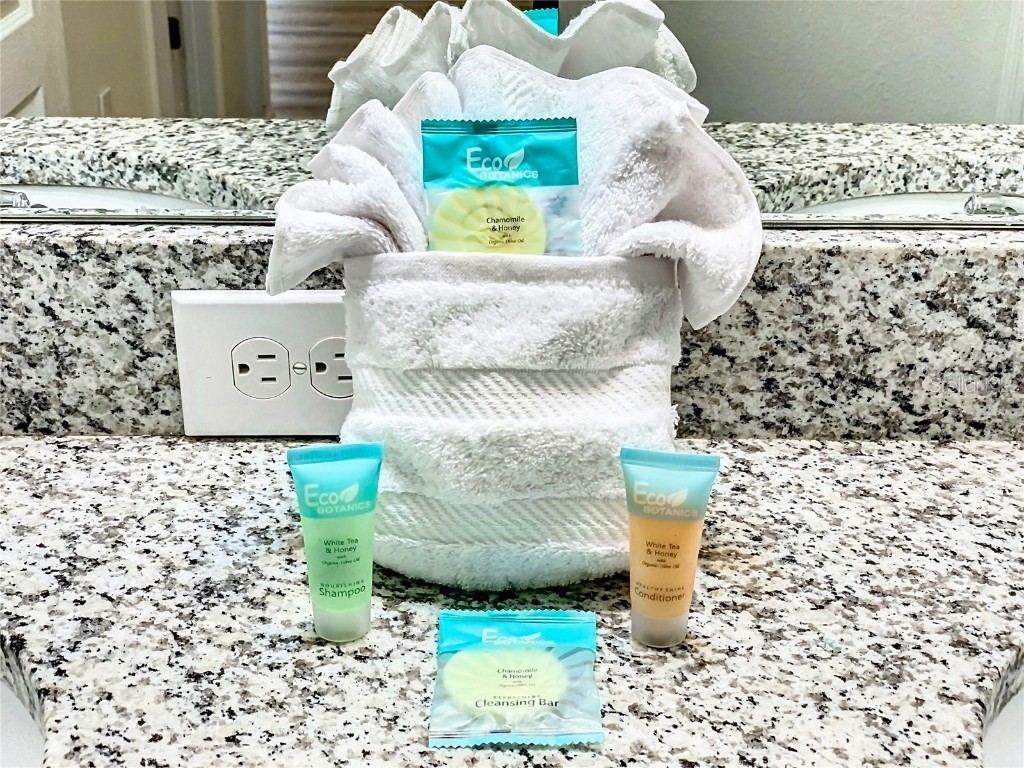 1610 Lima Avenue Kissimmee FL 34747 S5119586 image20