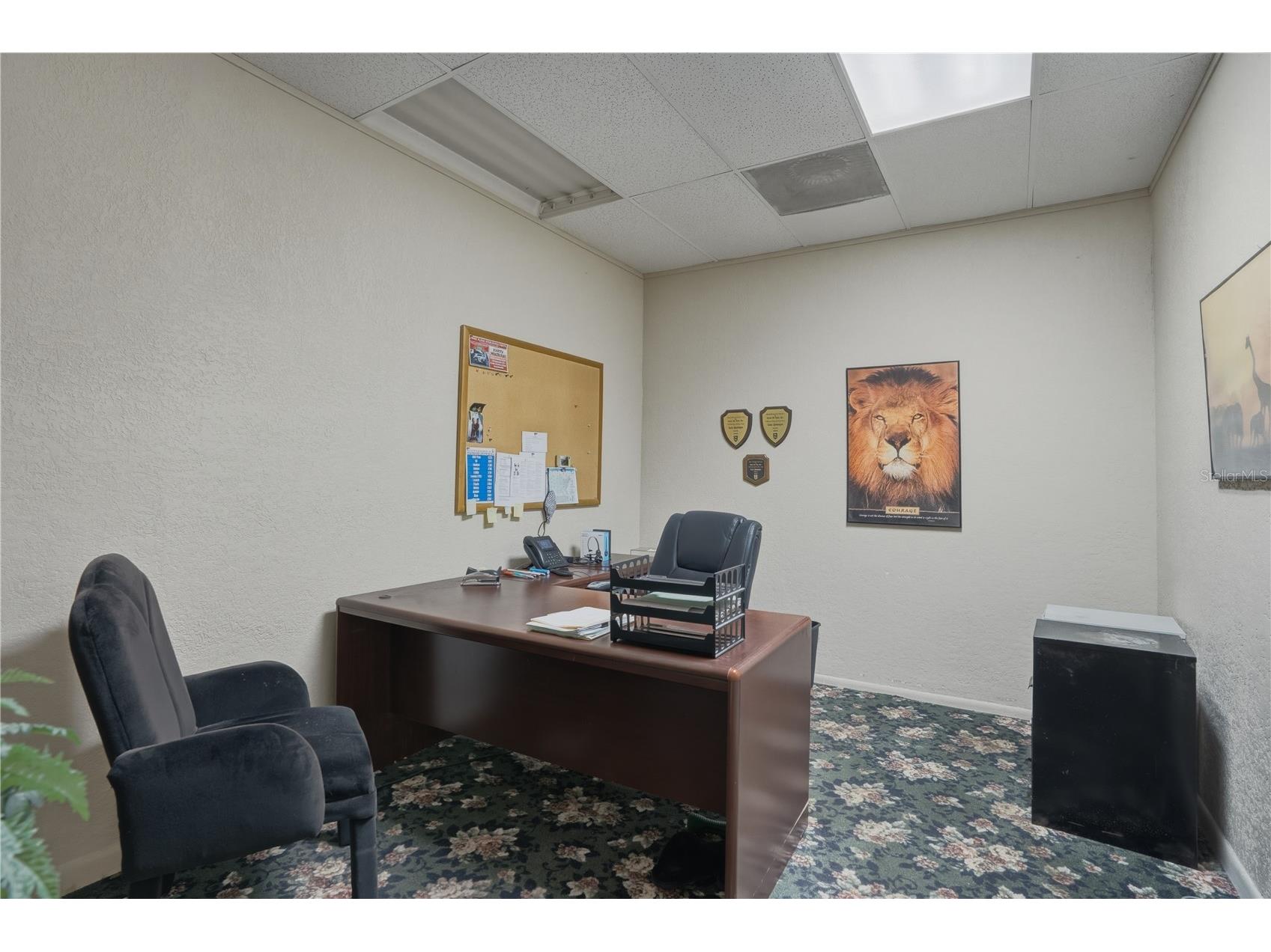 1610 N Myrtle Avenue Clearwater FL 33755 TB8501436 image27