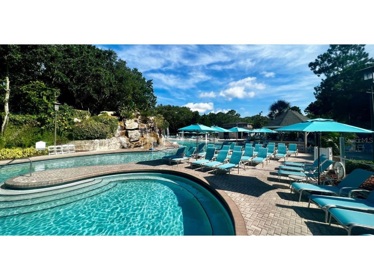 1610 Sandhill Court Palm Harbor FL 34684 A4675204 image12