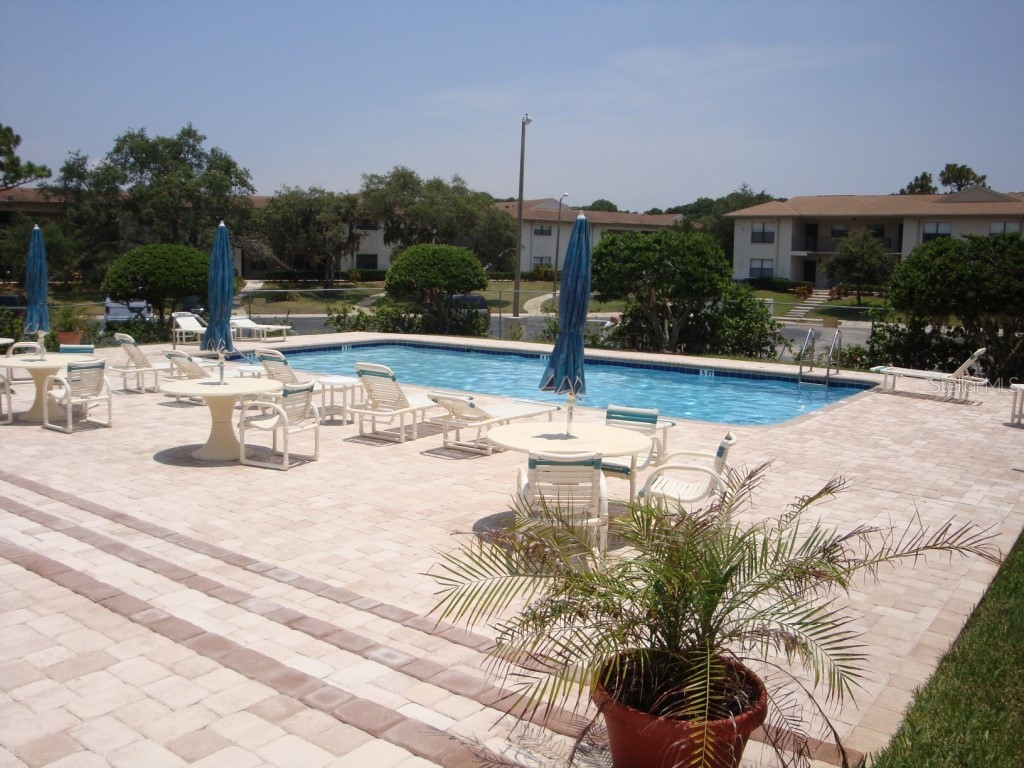 1610 Seascape Circle #1610 Tarpon Springs FL 34689 TB8496770 image18