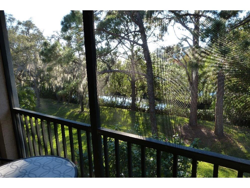1610 Seascape Circle #1610 Tarpon Springs FL 34689 TB8496770 image9