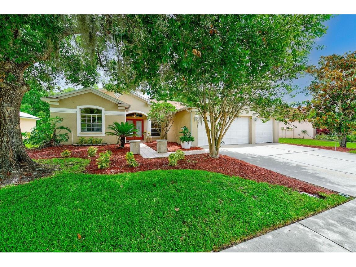 1610 Stetson Drive Wesley Chapel FL 33543 TB8394605 image1