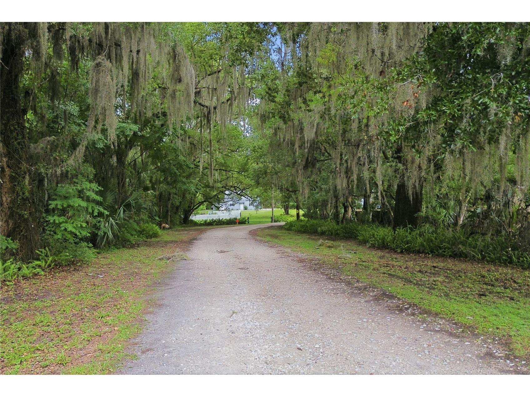 1610 Strathcona Avenue Deland FL 32720 V4949679 image49