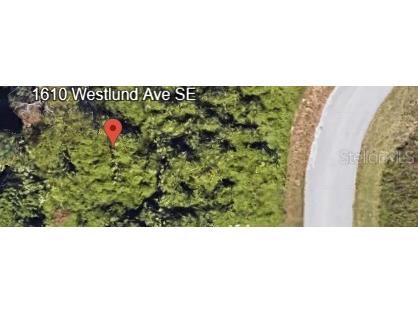 1610 Westlund Avenue SE Palm Bay FL 32909 OM712016 image1