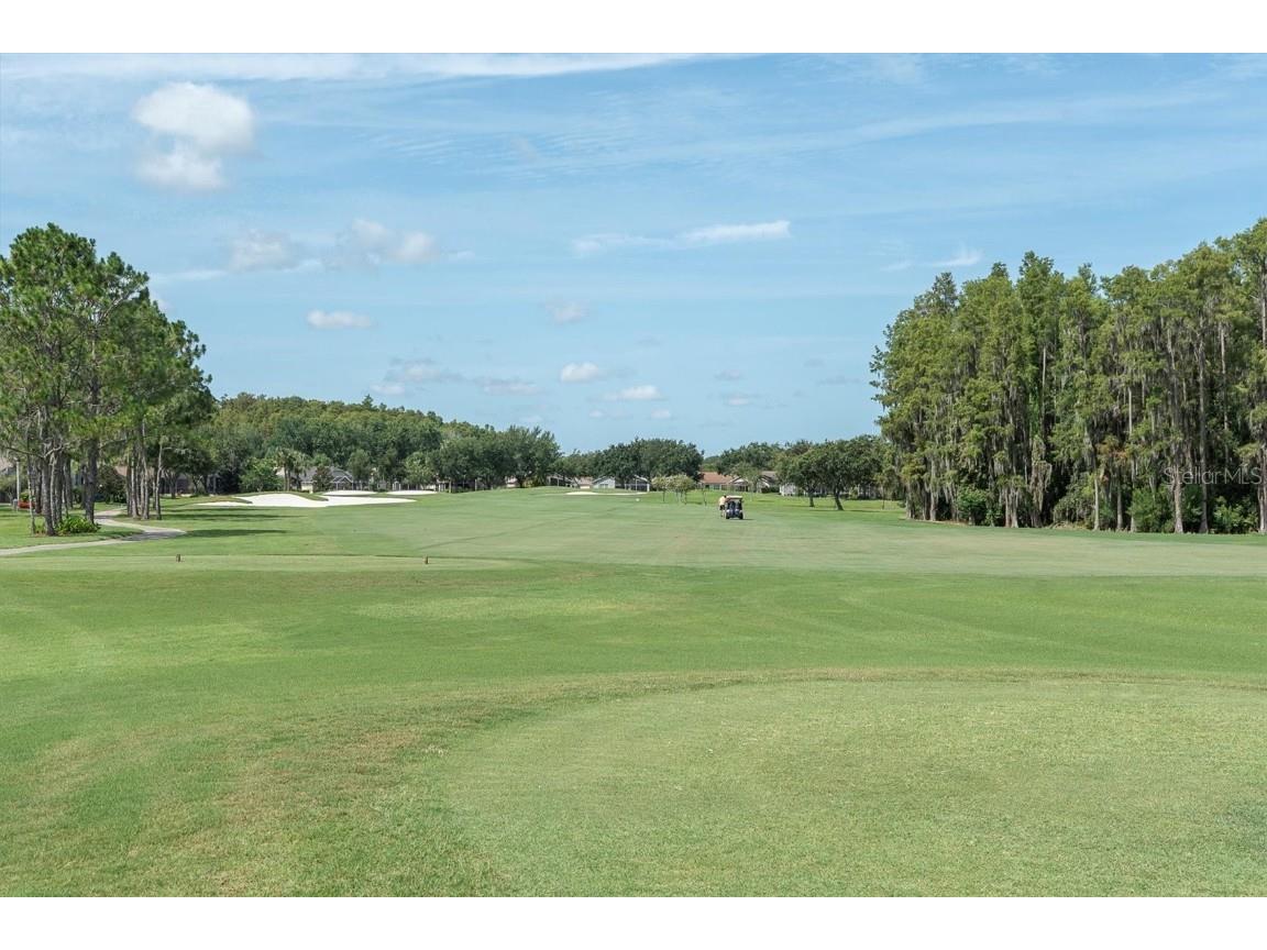 1610 Winding Willow Drive Trinity FL 34655 W7877048 image25