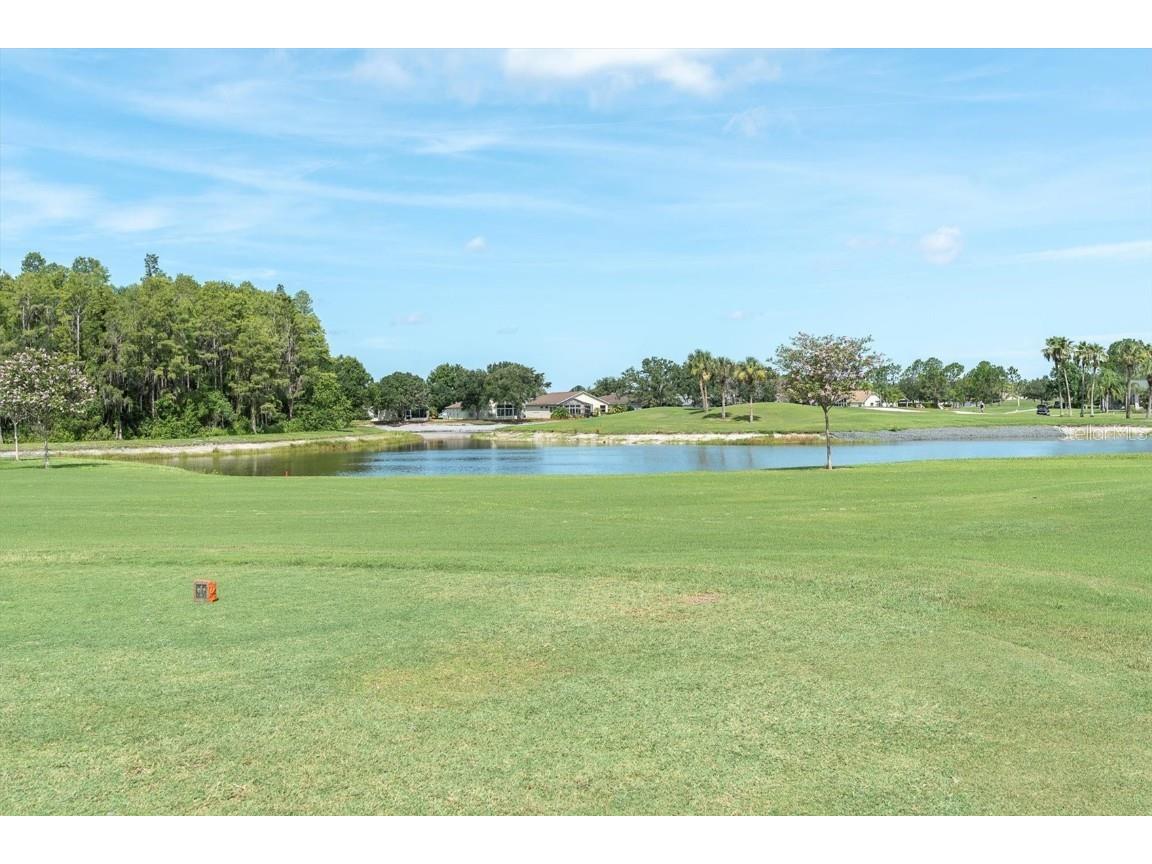 1610 Winding Willow Drive Trinity FL 34655 W7877048 image26