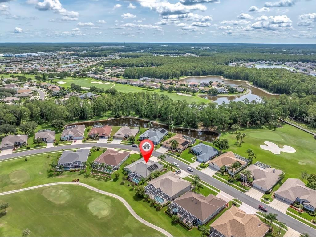 1610 Winding Willow Drive Trinity FL 34655 W7877048 image28