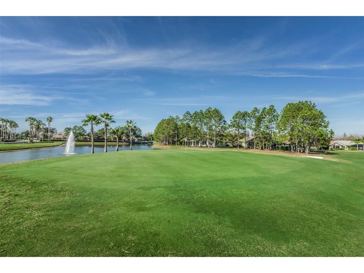 1610 Winding Willow Drive Trinity FL 34655 W7877048 image42