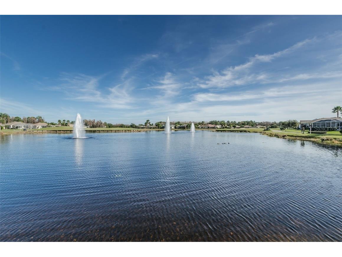 1610 Winding Willow Drive Trinity FL 34655 W7877048 image45