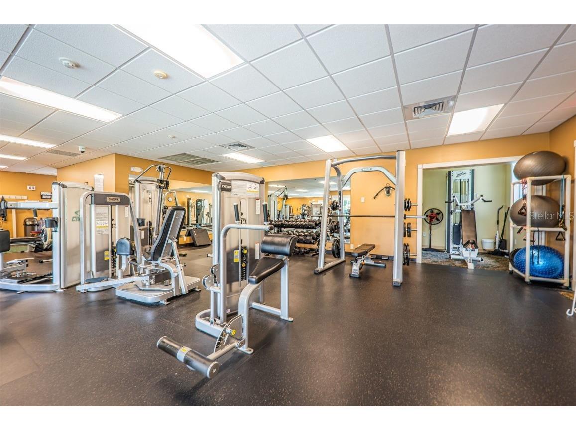 1610 Winding Willow Drive Trinity FL 34655 W7877048 image72