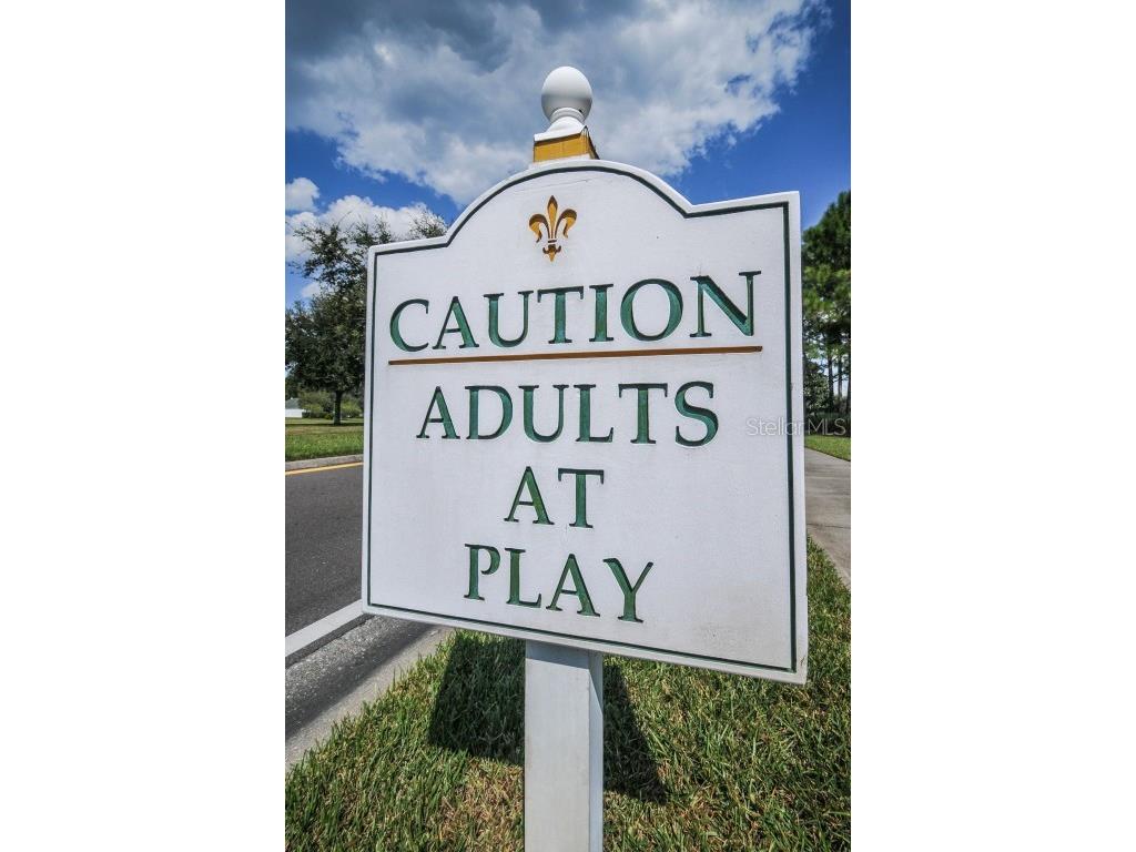 1610 Winding Willow Drive Trinity FL 34655 W7877048 image78