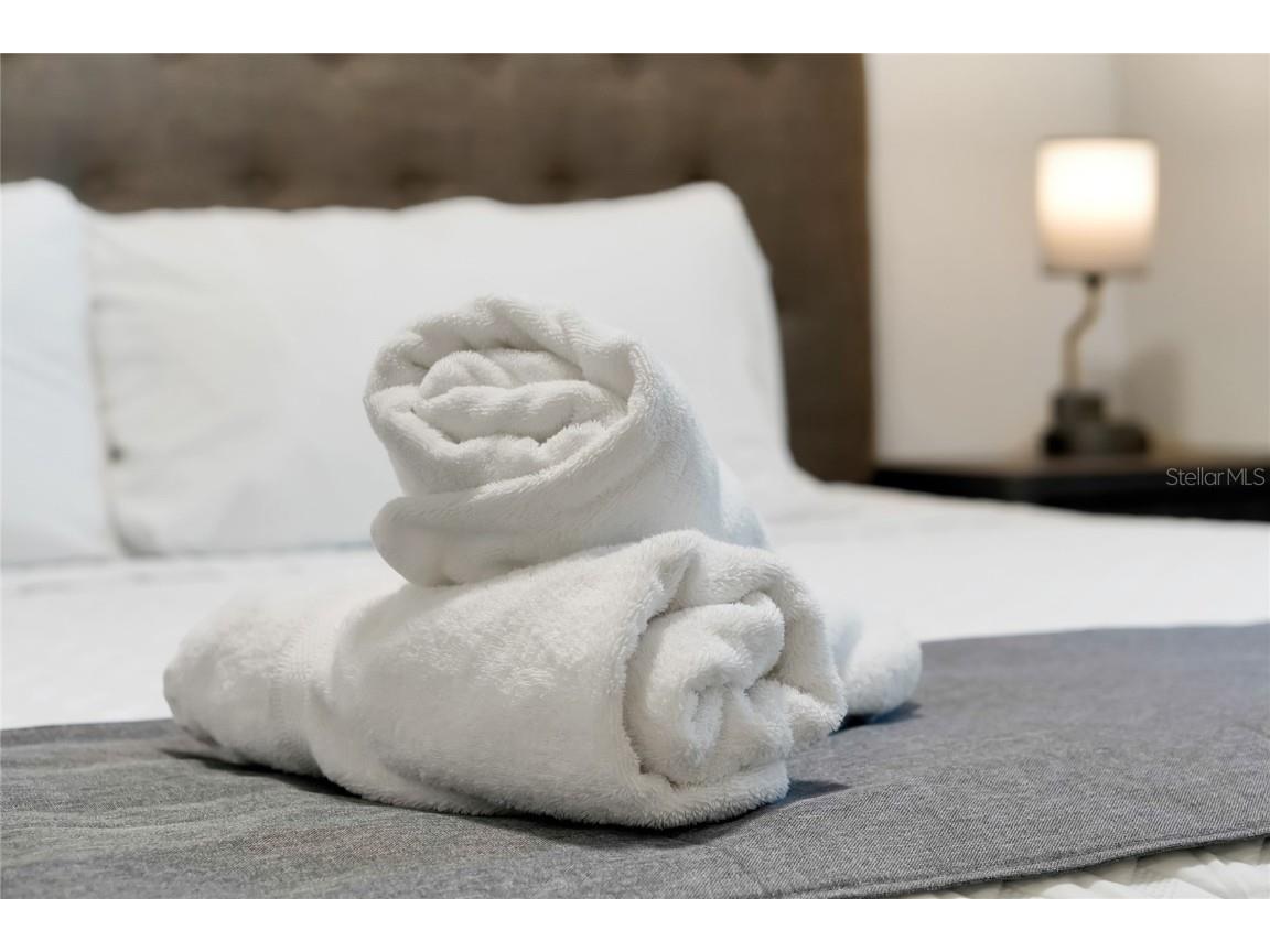 16100 Palm Frond Avenue Clermont FL 34714 O6344467 image31