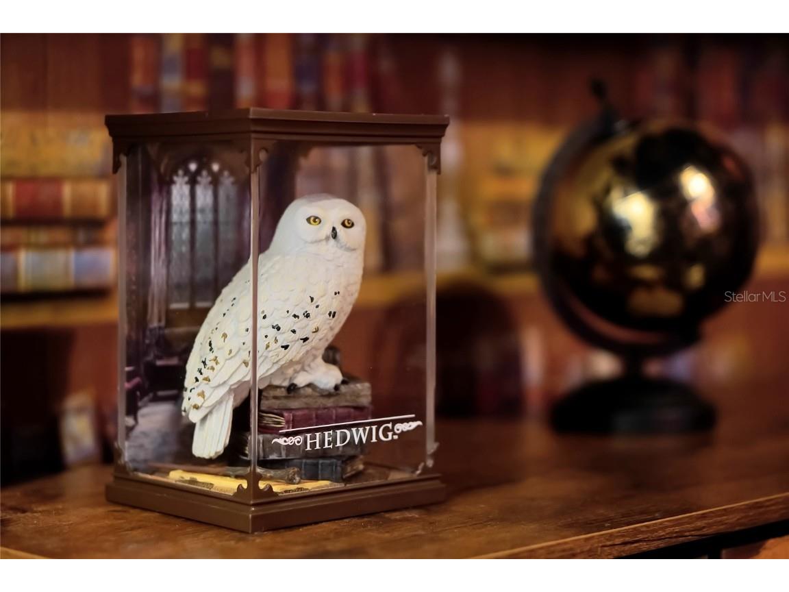 16100 Palm Frond Avenue Clermont FL 34714 O6344467 image58