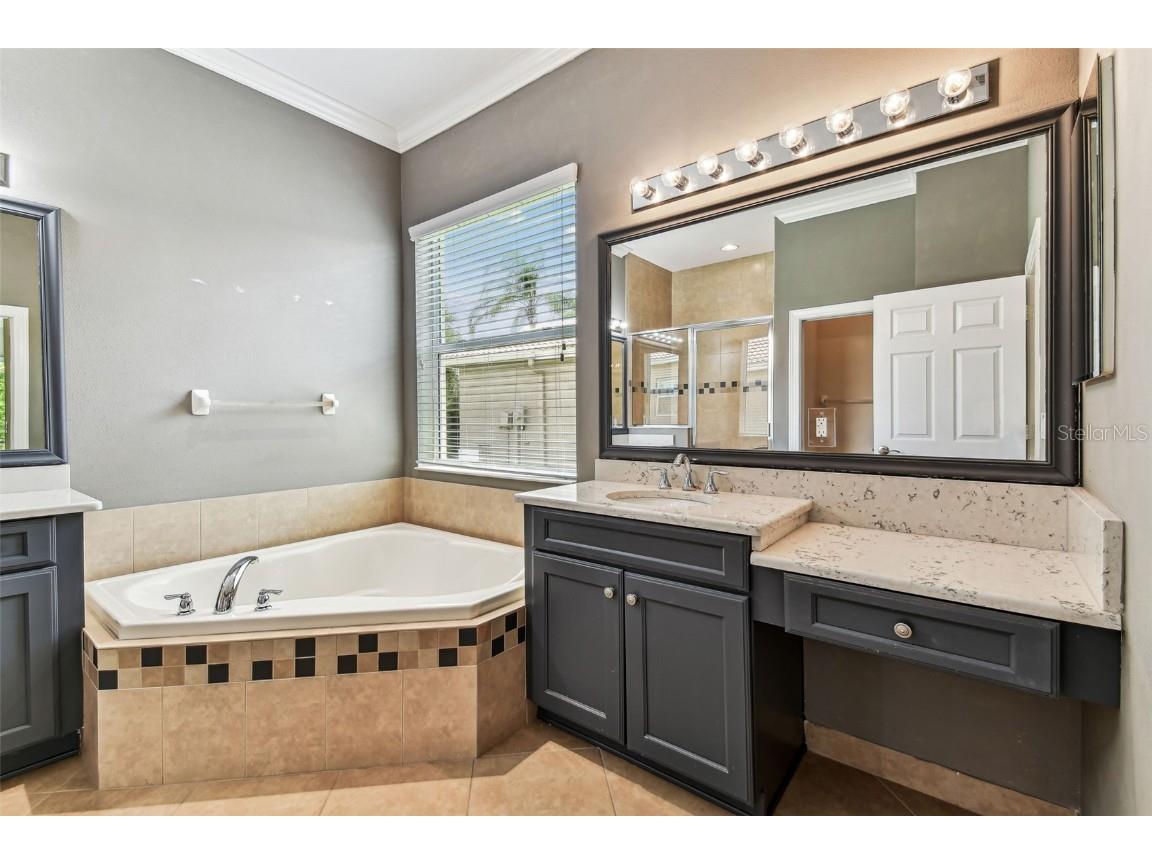 16101 Cape Coral Drive Wimauma FL 33598 TB8383803 image41