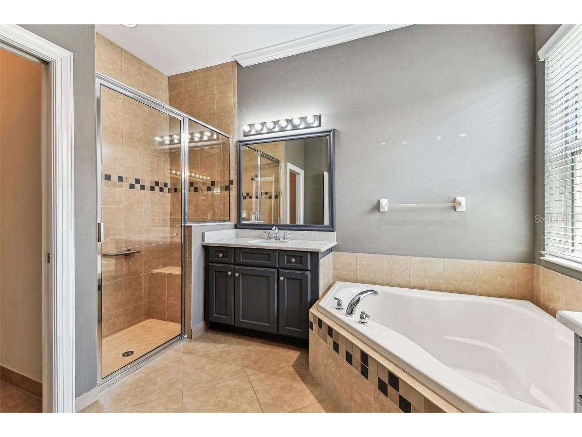 16101 Cape Coral Drive Wimauma FL 33598 TB8383803 image42