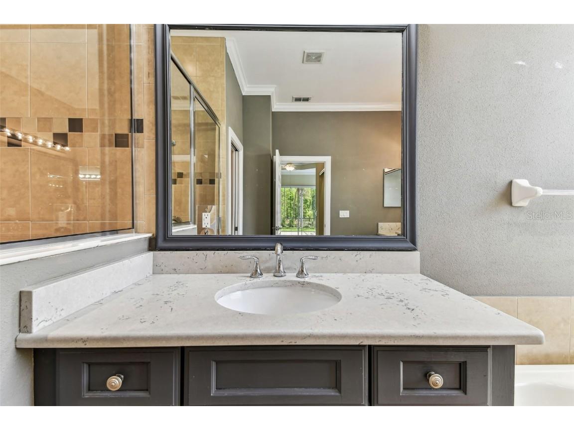 16101 Cape Coral Drive Wimauma FL 33598 TB8383803 image45