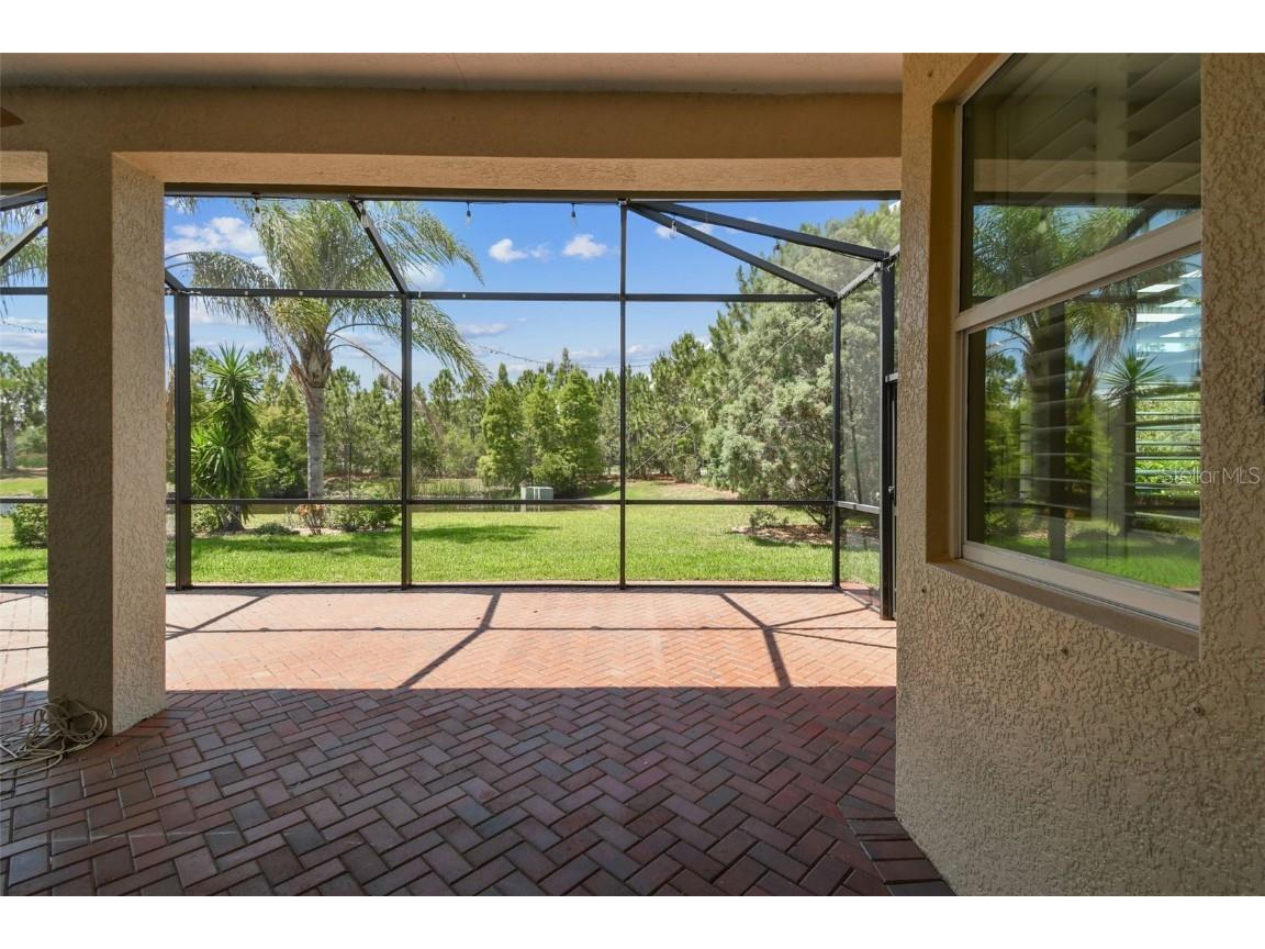 16101 Cape Coral Drive Wimauma FL 33598 TB8383803 image47