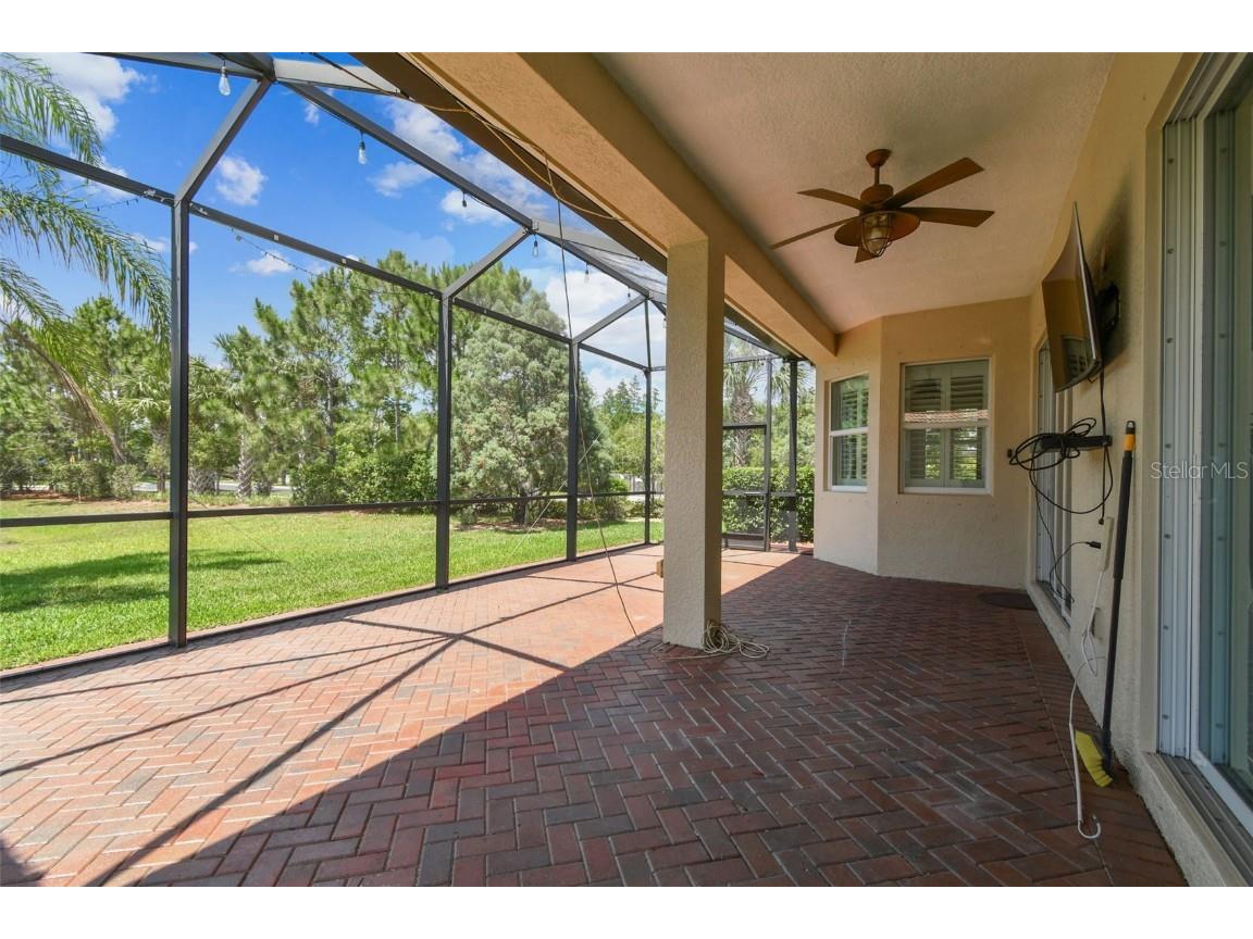 16101 Cape Coral Drive Wimauma FL 33598 TB8383803 image49