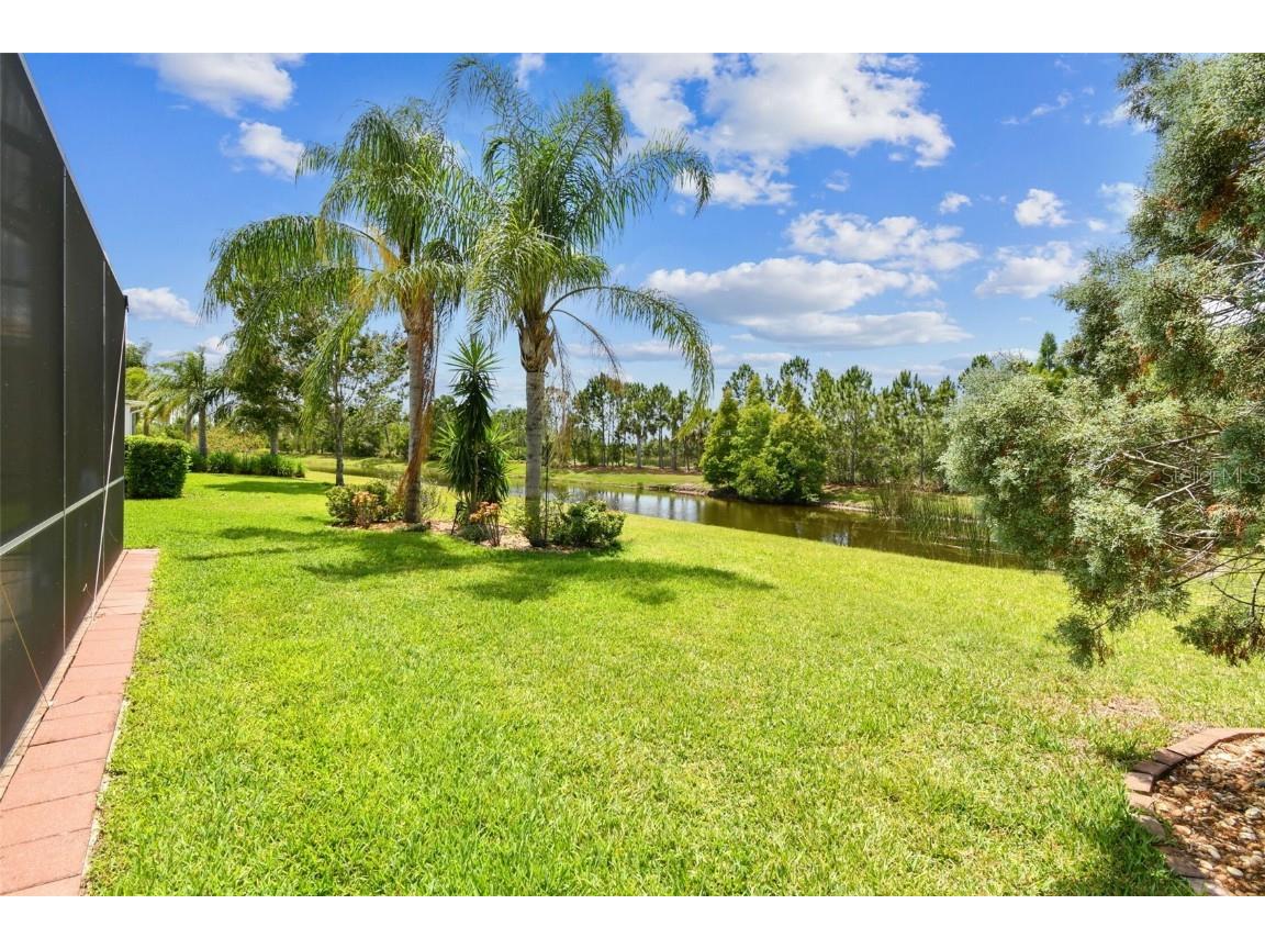 16101 Cape Coral Drive Wimauma FL 33598 TB8383803 image52
