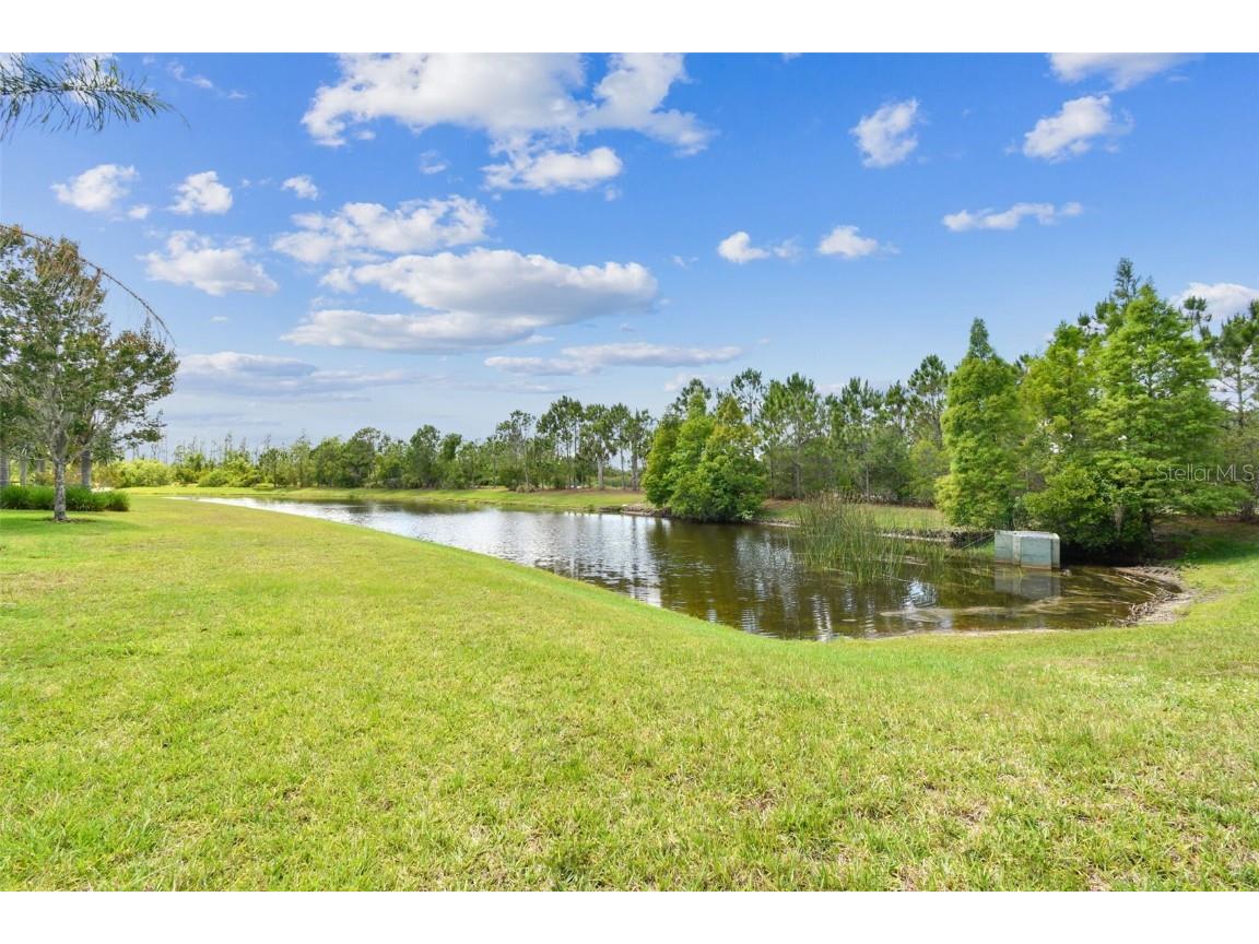 16101 Cape Coral Drive Wimauma FL 33598 TB8383803 image54