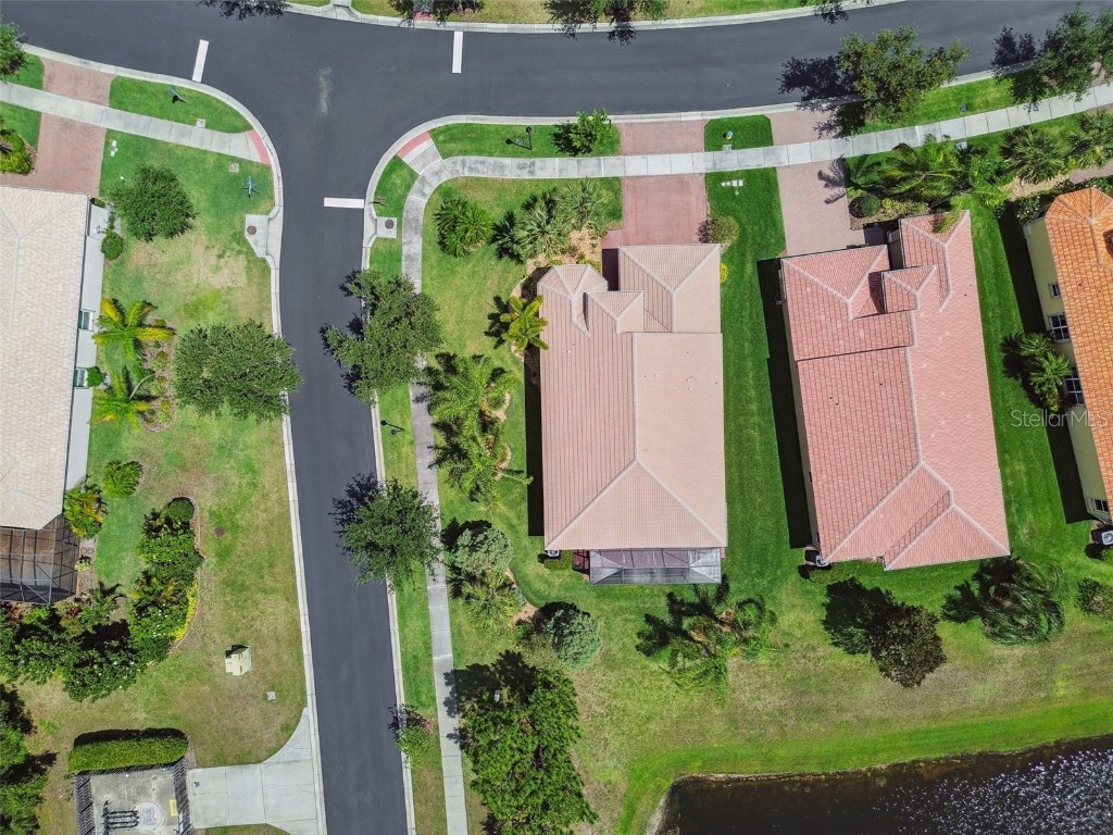 16101 Cape Coral Drive Wimauma FL 33598 TB8383803 image59