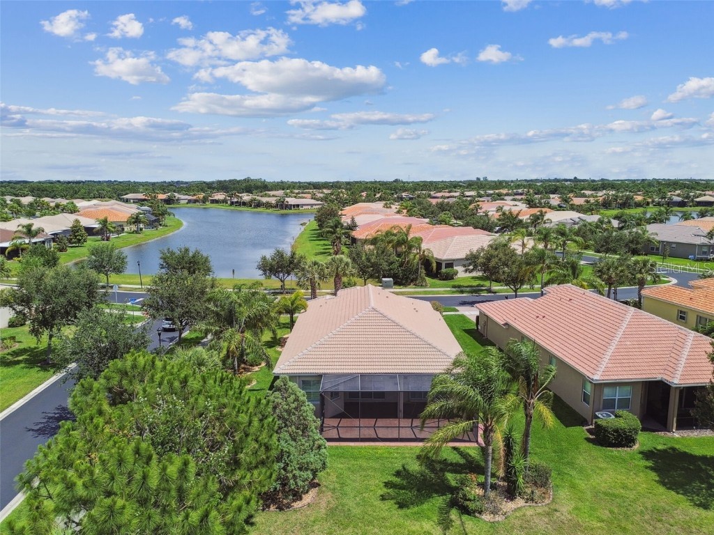 16101 Cape Coral Drive Wimauma FL 33598 TB8383803 image61