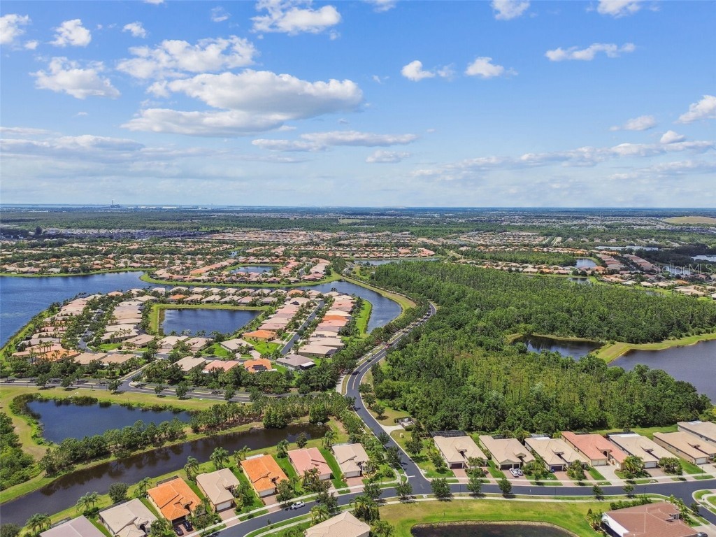 16101 Cape Coral Drive Wimauma FL 33598 TB8383803 image64