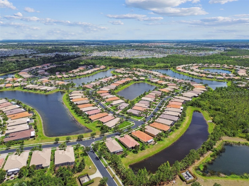 16101 Cape Coral Drive Wimauma FL 33598 TB8383803 image65