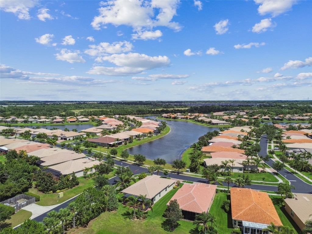 16101 Cape Coral Drive Wimauma FL 33598 TB8383803 image66