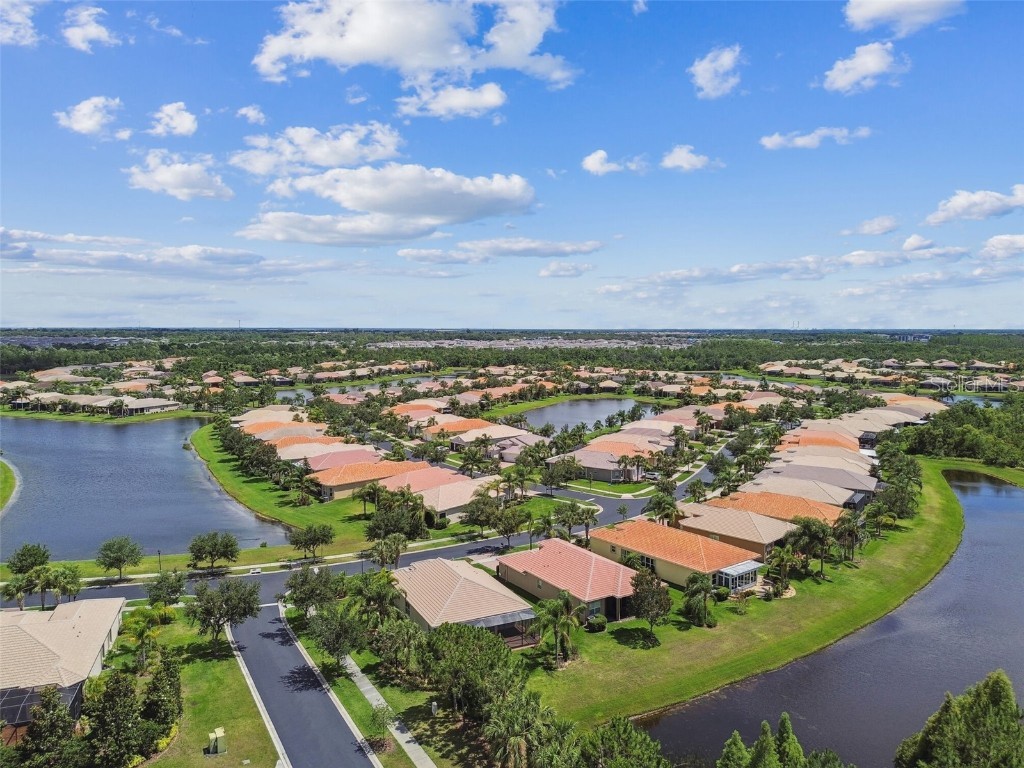 16101 Cape Coral Drive Wimauma FL 33598 TB8383803 image68