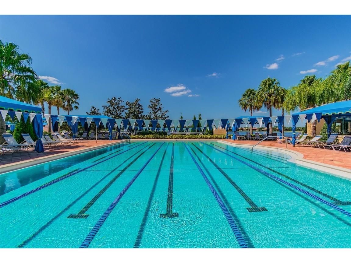 16101 Cape Coral Drive Wimauma FL 33598 TB8383803 image73