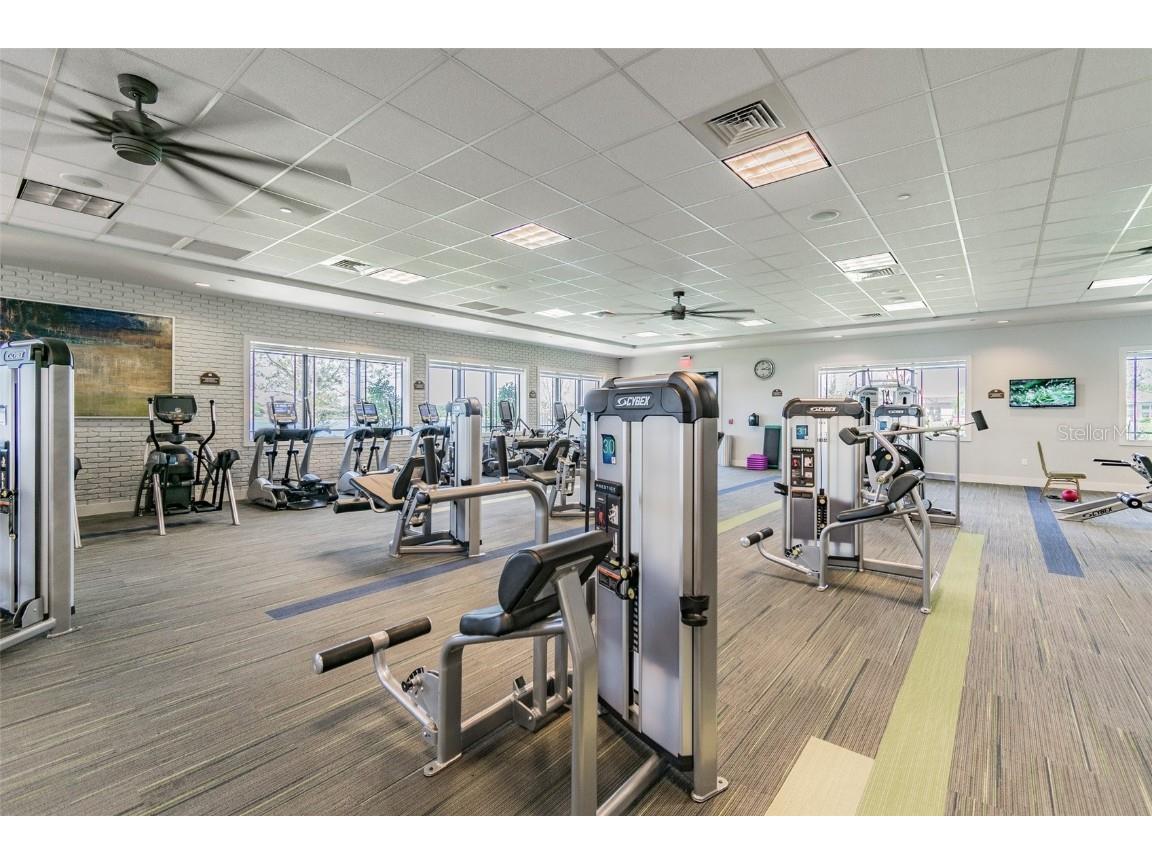 16101 Cape Coral Drive Wimauma FL 33598 TB8383803 image85