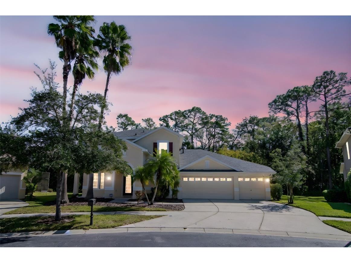 16102 Colchester Palms Drive #A Tampa FL 33647 TB8442782 image2