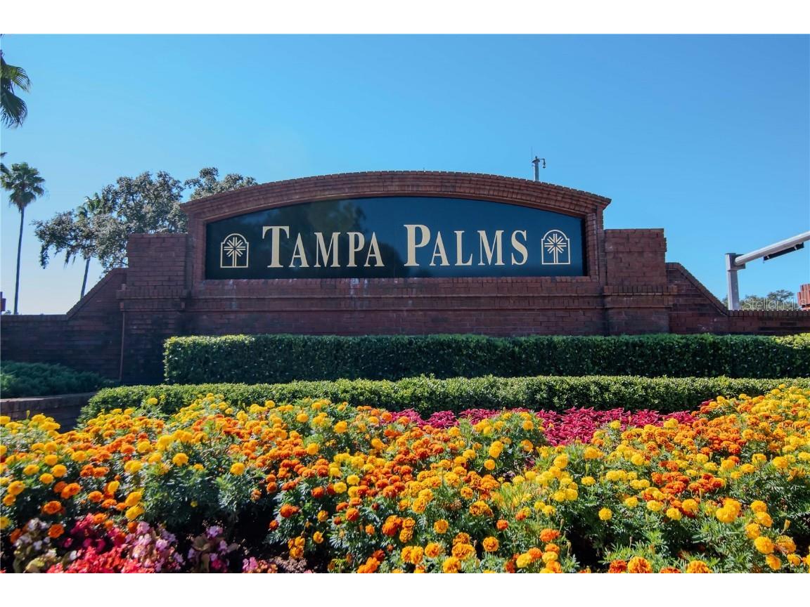 16102 Colchester Palms Drive #A Tampa FL 33647 TB8442782 image3