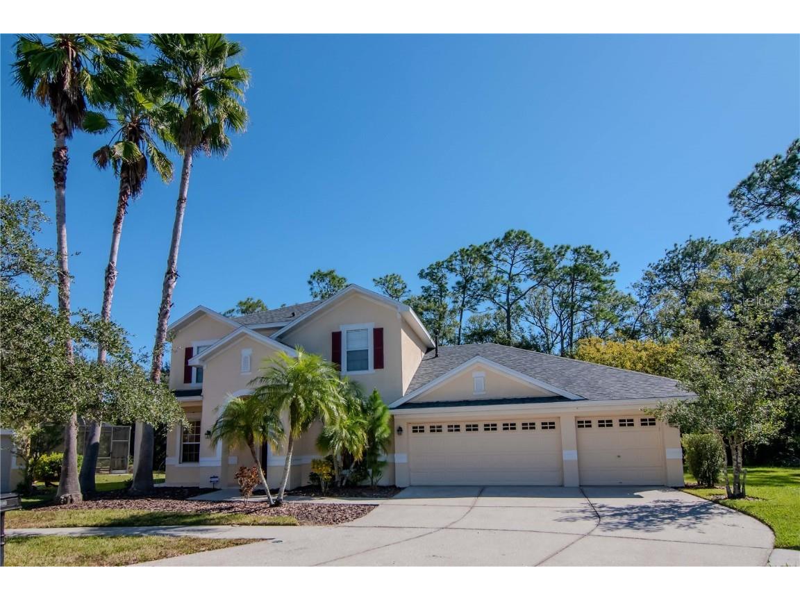 16102 Colchester Palms Drive Tampa FL 33647 TB8444033 image1