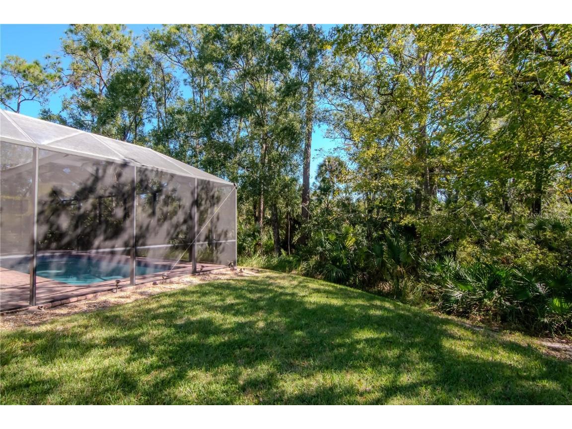 16102 Colchester Palms Drive Tampa FL 33647 TB8444033 image28