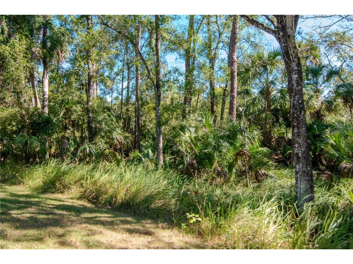 16102 Colchester Palms Drive Tampa FL 33647 TB8444033 image29