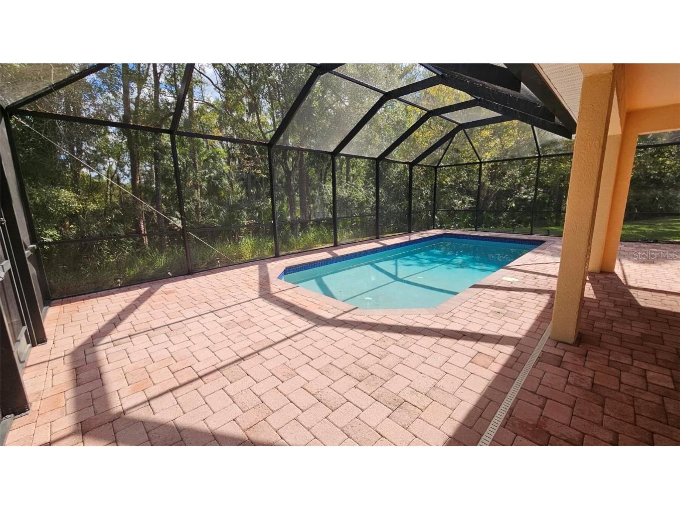 16102 Colchester Palms Drive Tampa FL 33647 TB8444033 image7